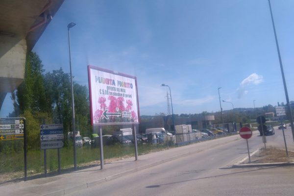 431 – Fontana Vecchia – fiera -SELVAPIANA